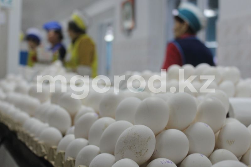 По какой цене отпускают продукты из Стабфонда ЗКО