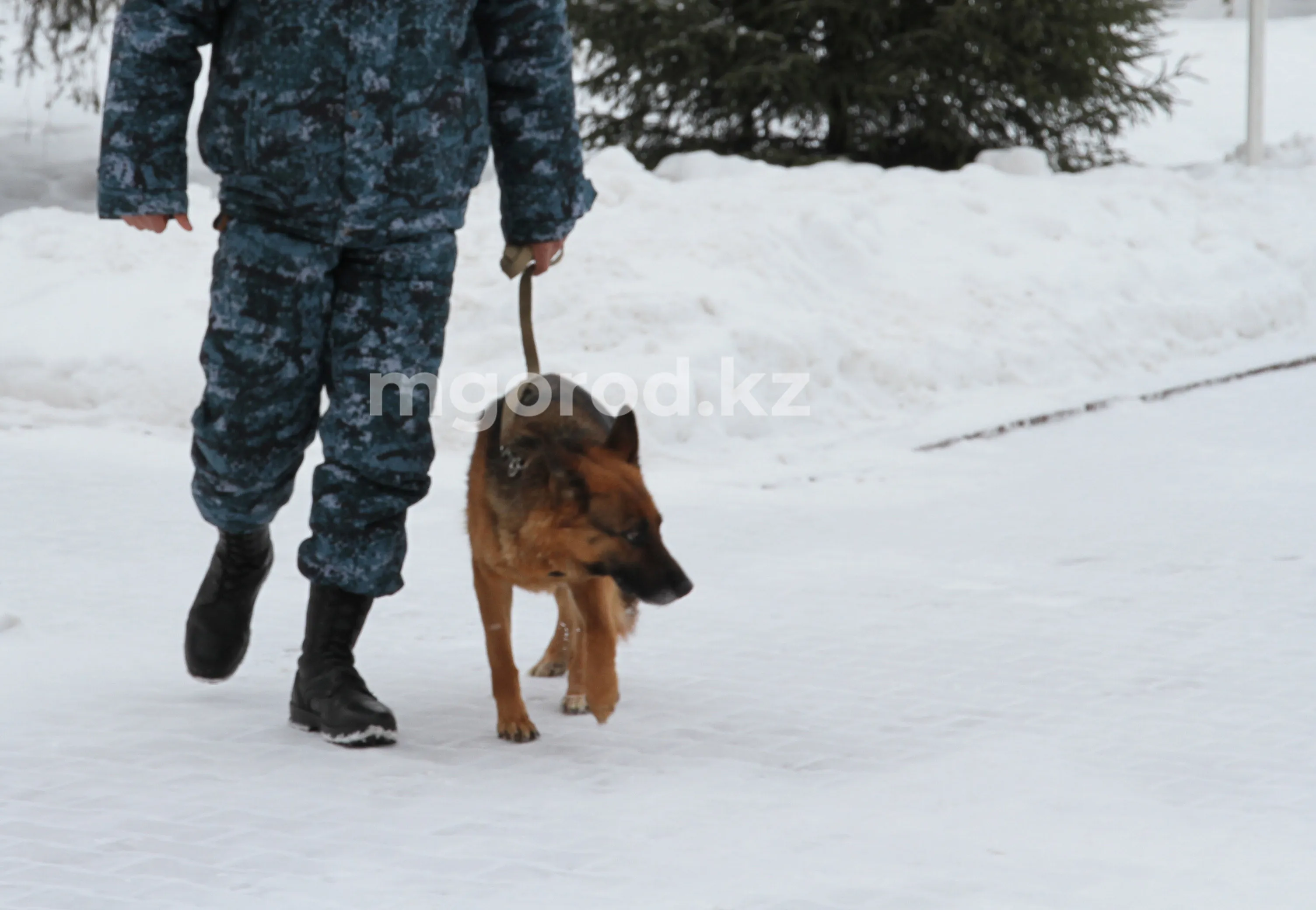 Труп мужчины со множественными травмами обнаружили в ЗКО