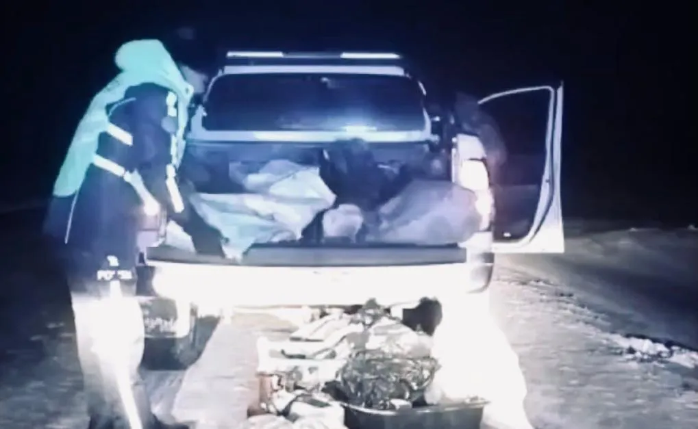 Браконьеров задержали патрульные полицейские в ЗКО