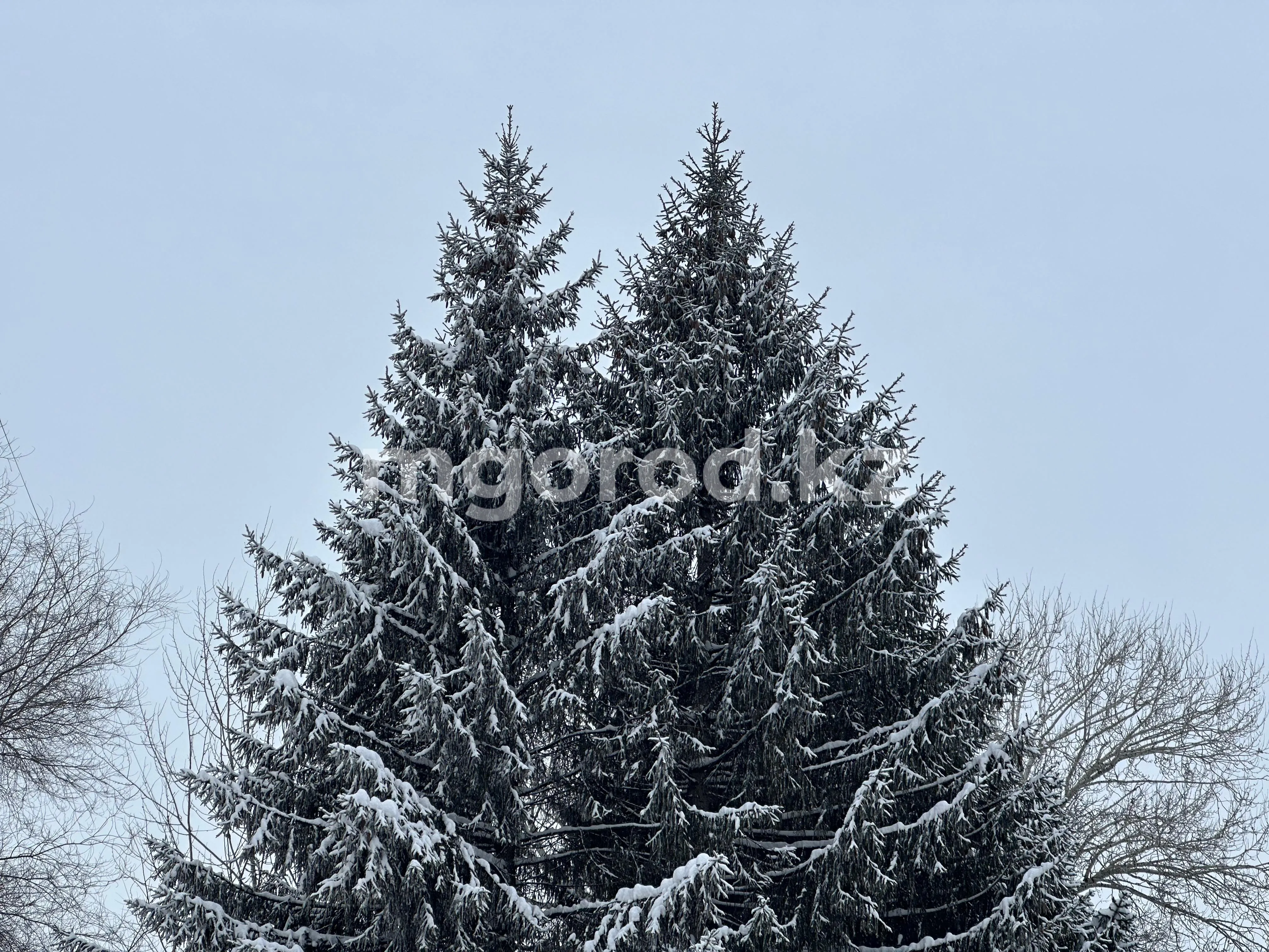 Погода в ЗКО на 17 февраля