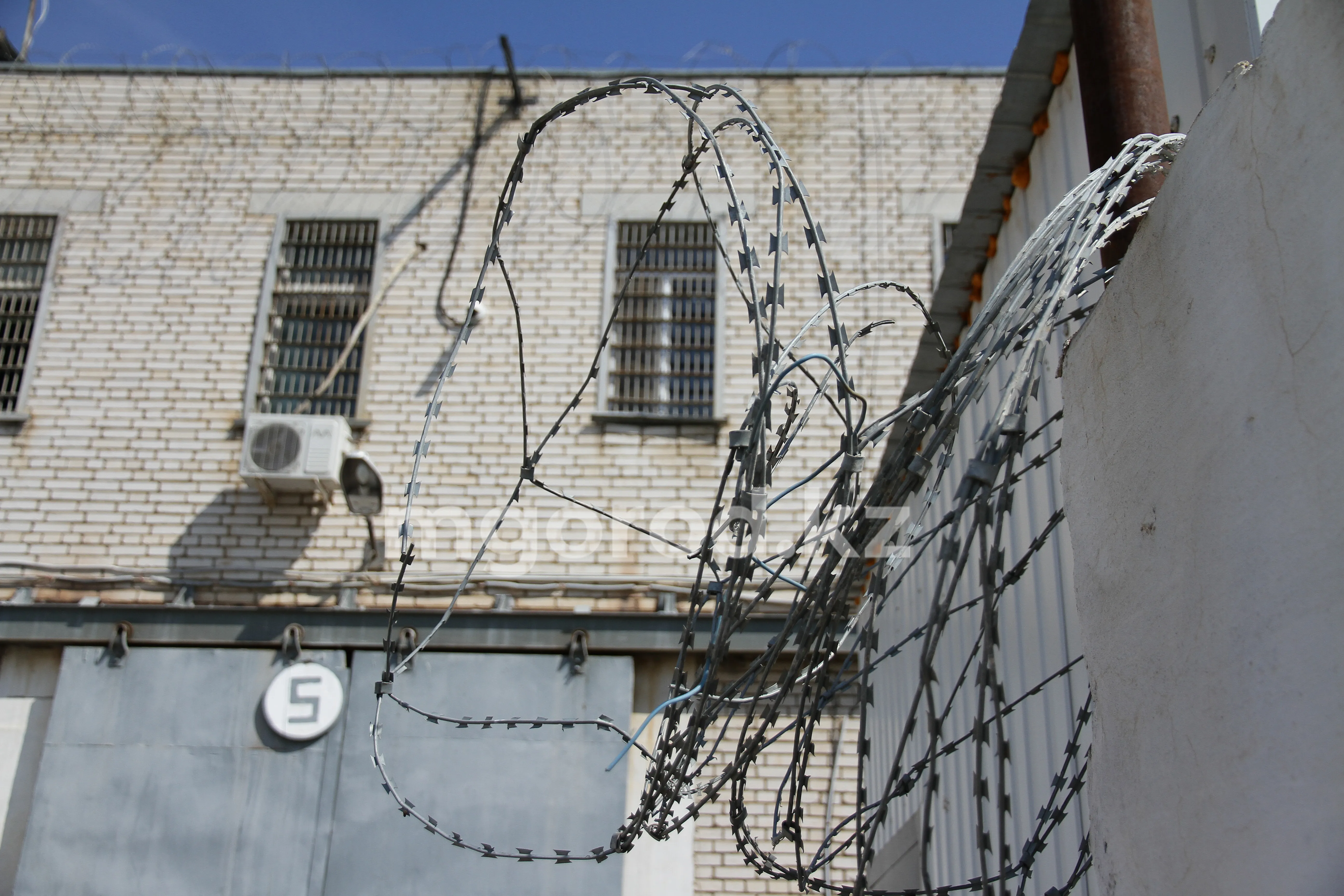 Пожизненно лишать свободы педофилов и детоубийц: депутаты приняли поправки