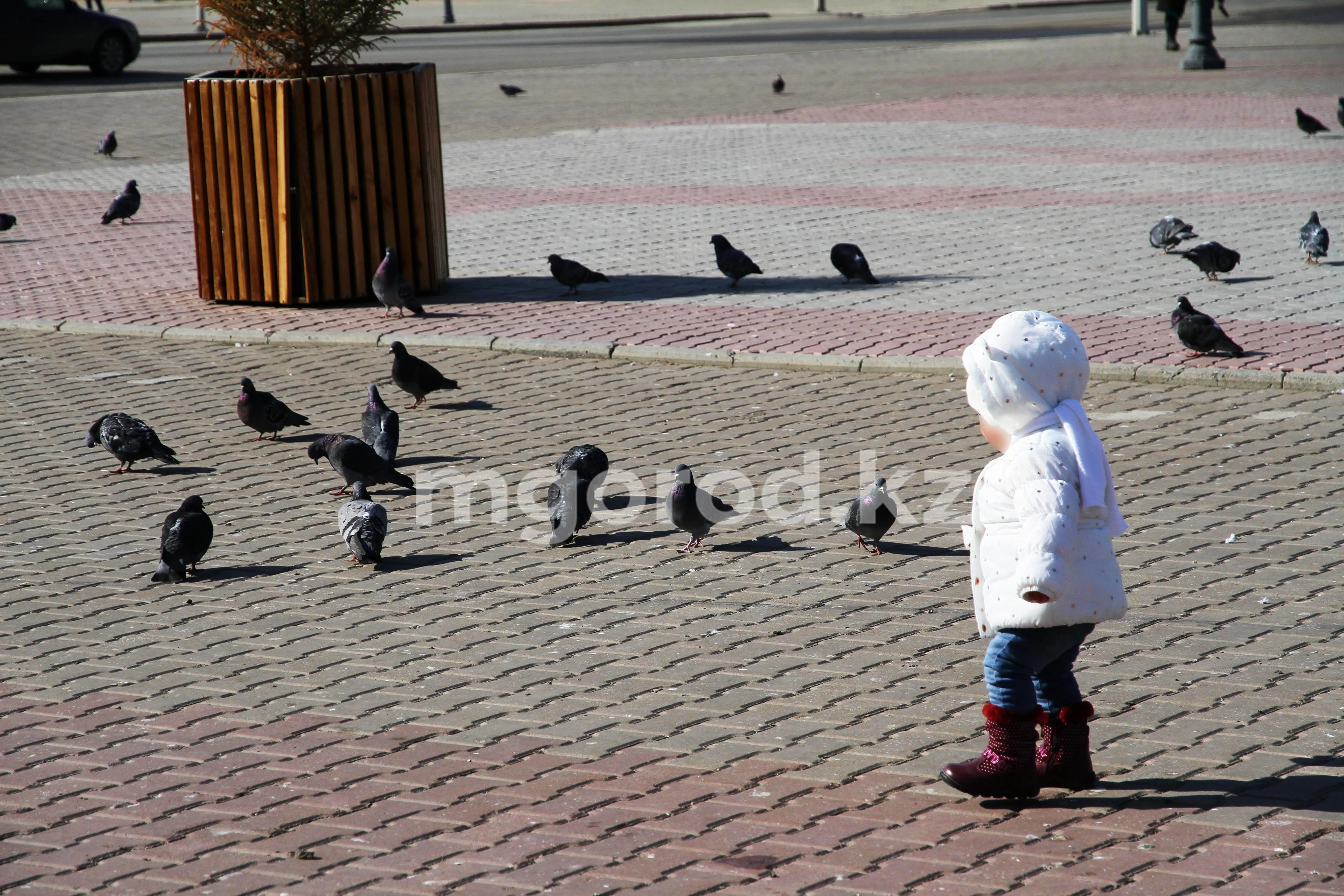 Какая погода ожидается на западе Казахстане 1 марта
