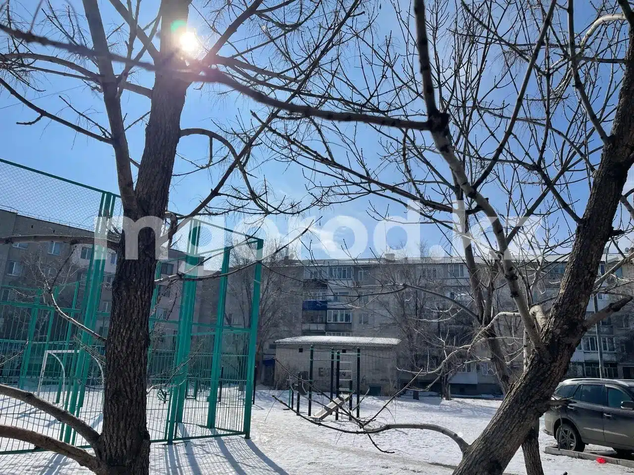 Туман ожидается в ЗКО