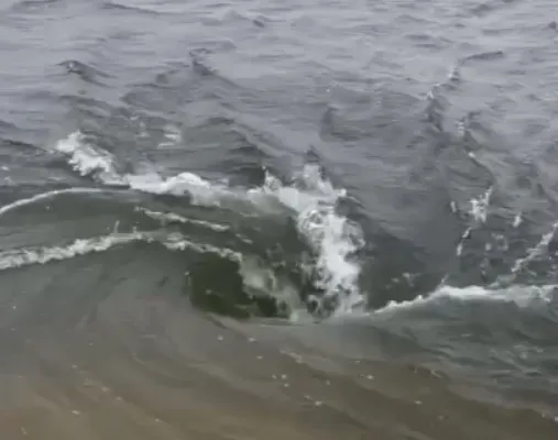 В степи большая вода: видео с района ЗКО, где сёла топило два года назад