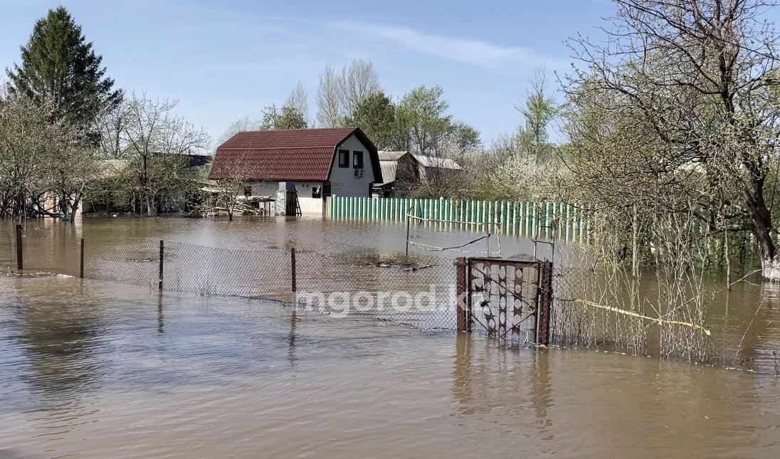 Не давайте нам ложных обещаний: в акимат пришли жители затопленных дачных обществ