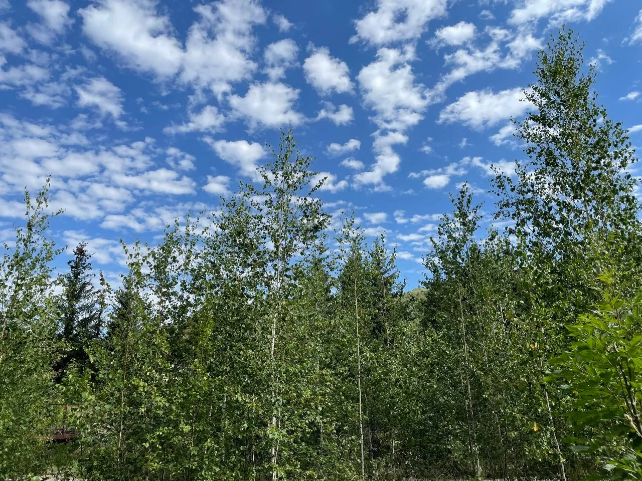 Какая погода ожидается на западе Казахстана 24 апреля