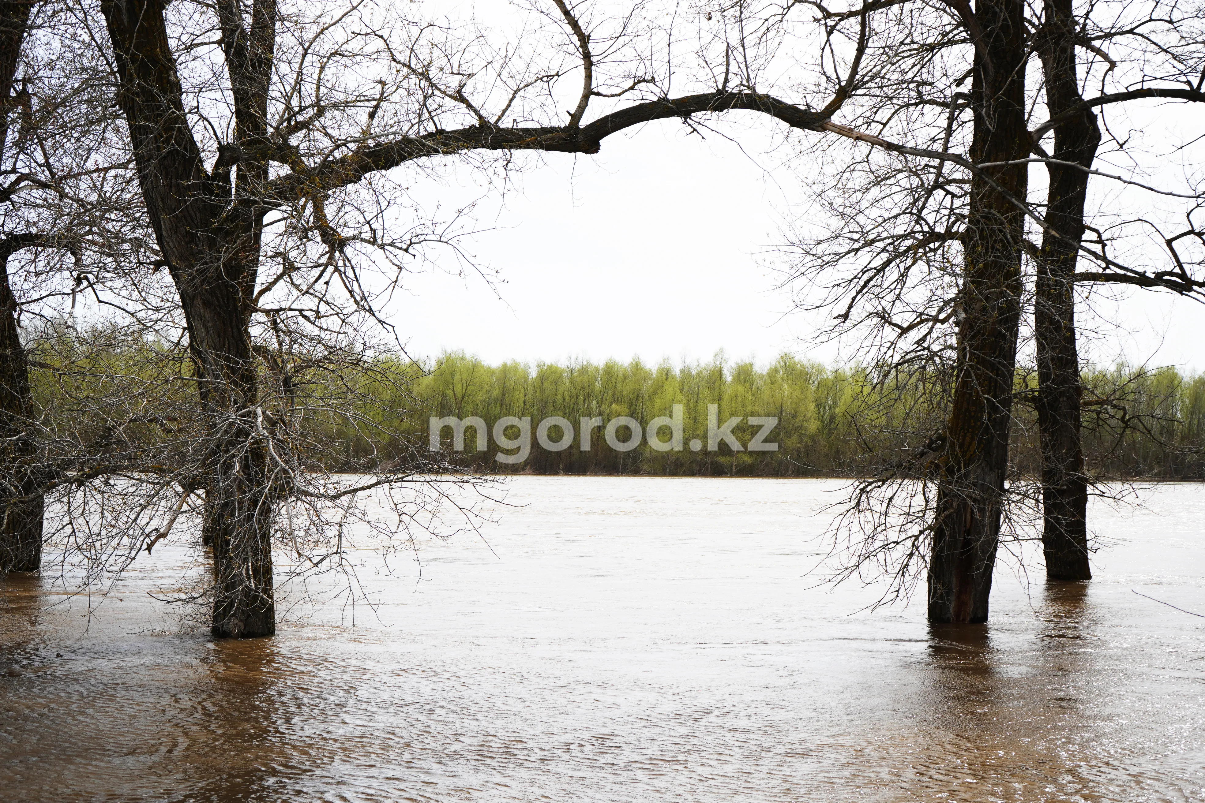 Погода на 25 апреля в ЗКО