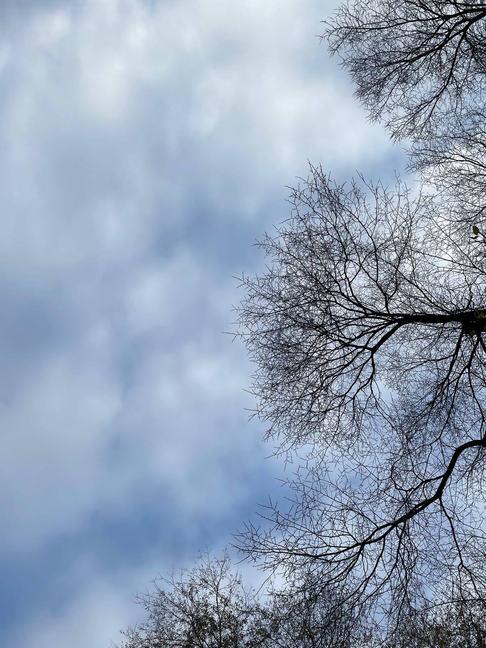 Дождь с грозой ожидается в ЗКО 1 мая