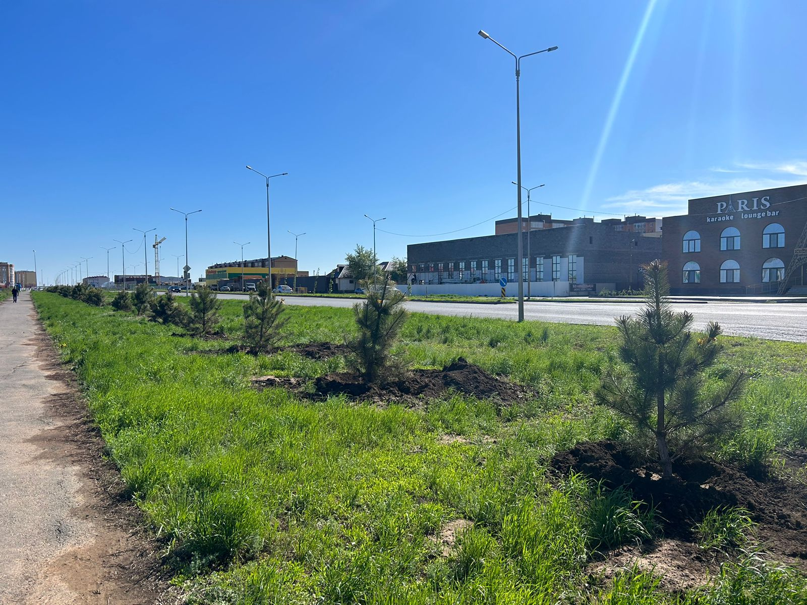 374 дерева посадили в Уральске в этом году