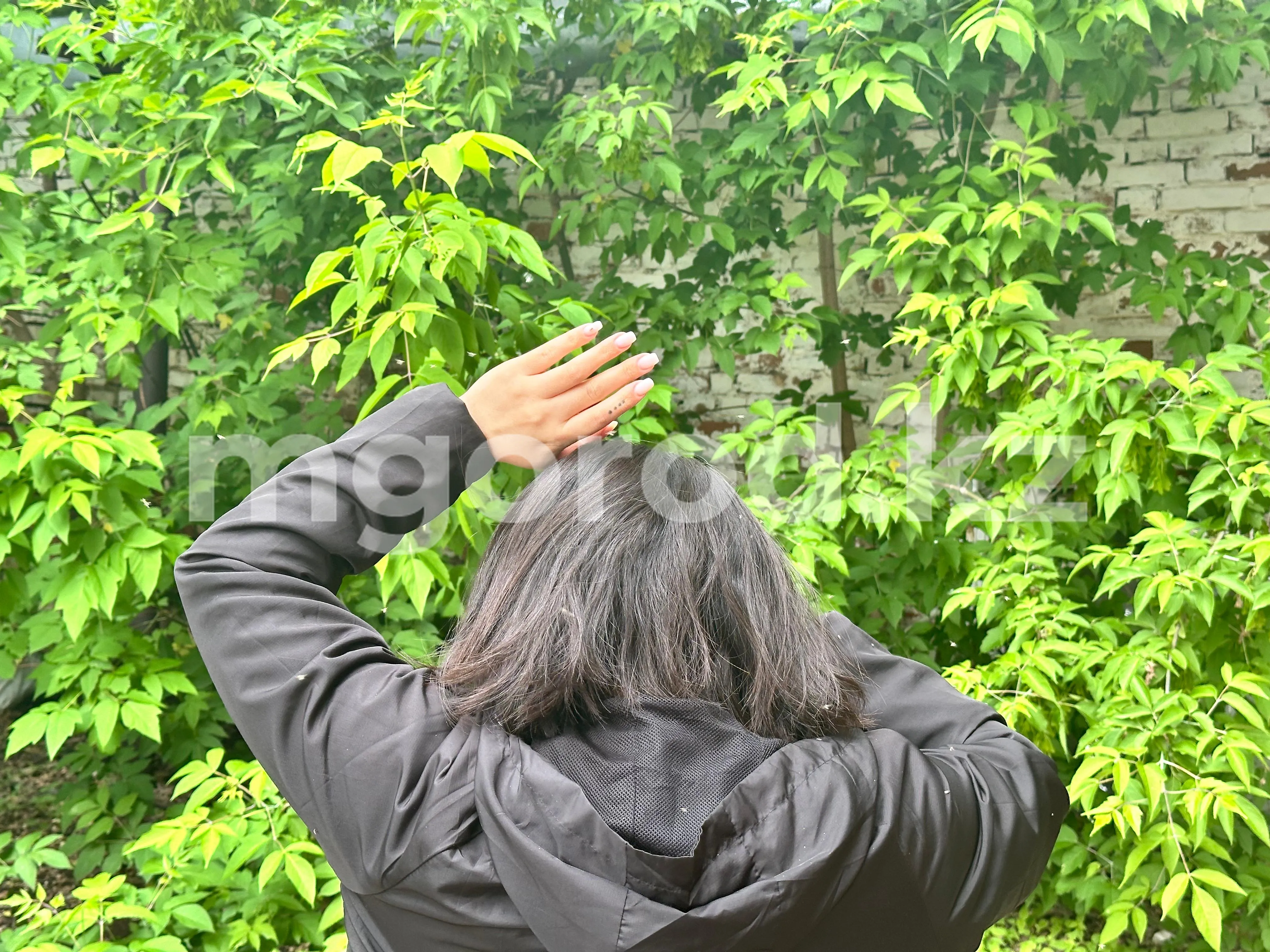 На нашествие мошек жалуются жители ЗКО