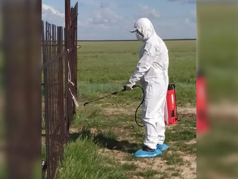 1,5 млн тенге выделили на травлю гнуса в Аксае