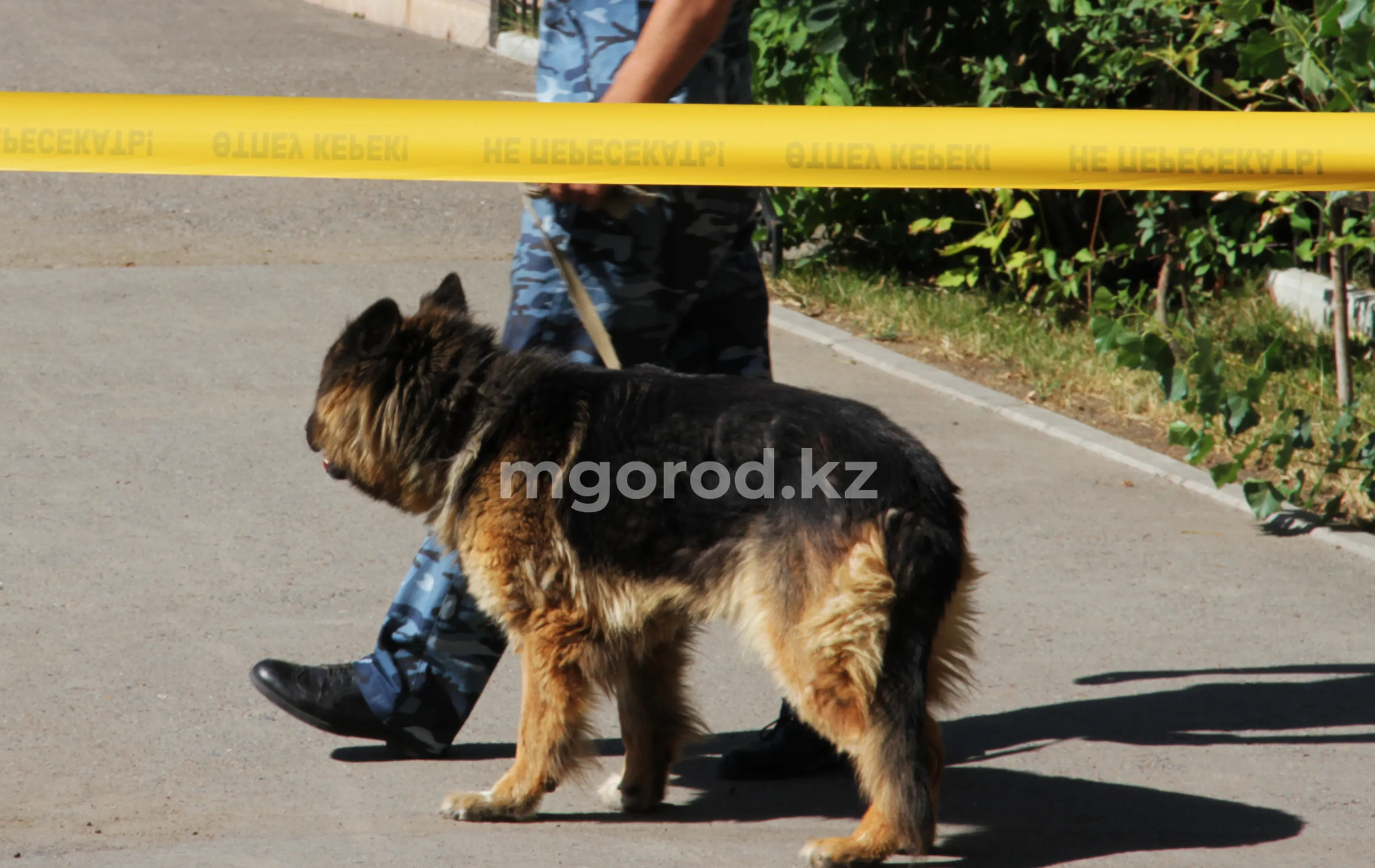 Один погиб, восемь ранены: молодежная разборка произошла в Актобе