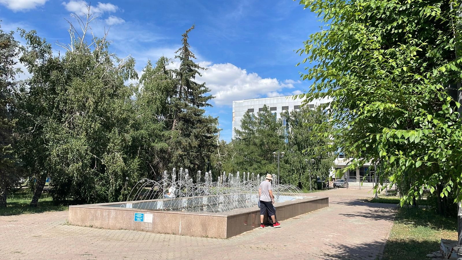 Прогноз погоды в Западном Казахстане 21 июня