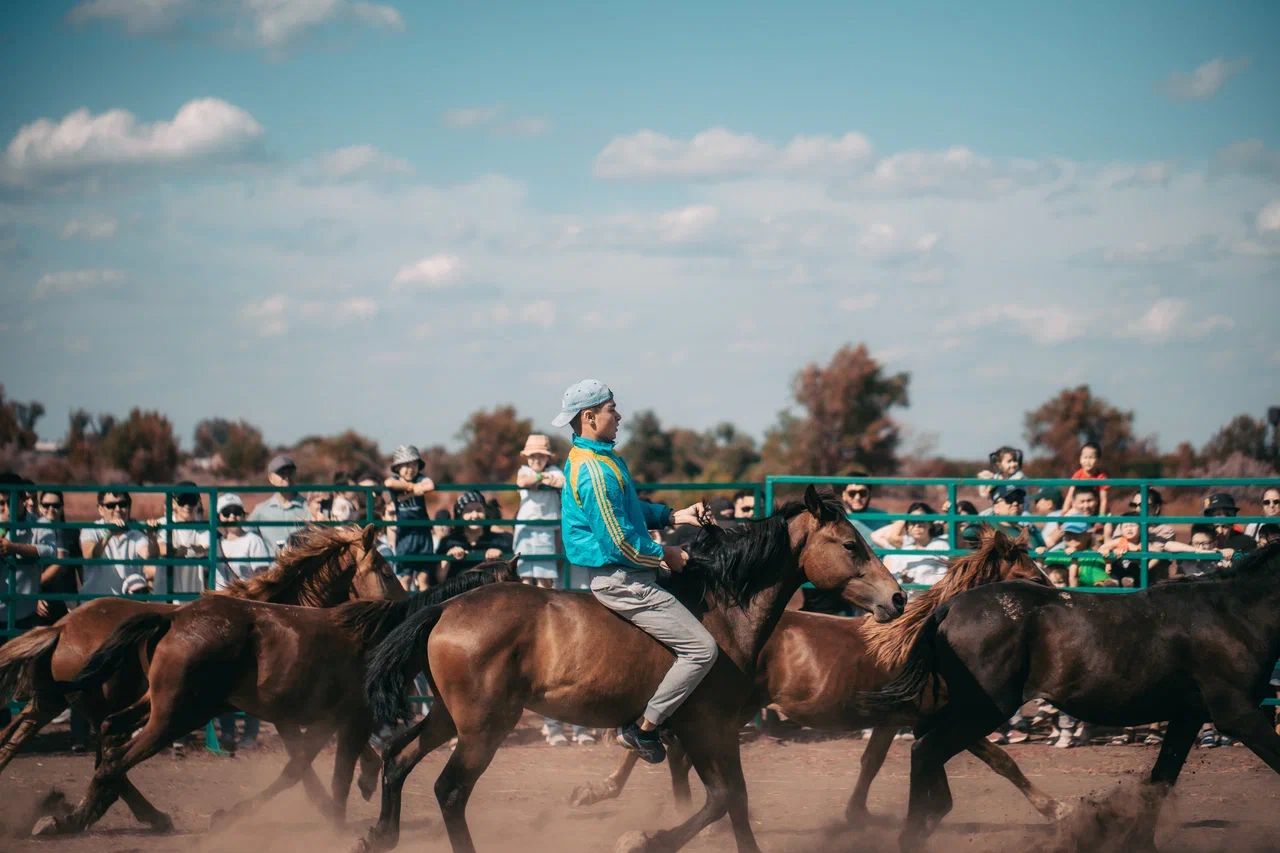 AGROFEST – 2025  ВНОВЬ СОБИРАЕТ КОЛЛЕГ И ДРУЗЕЙ