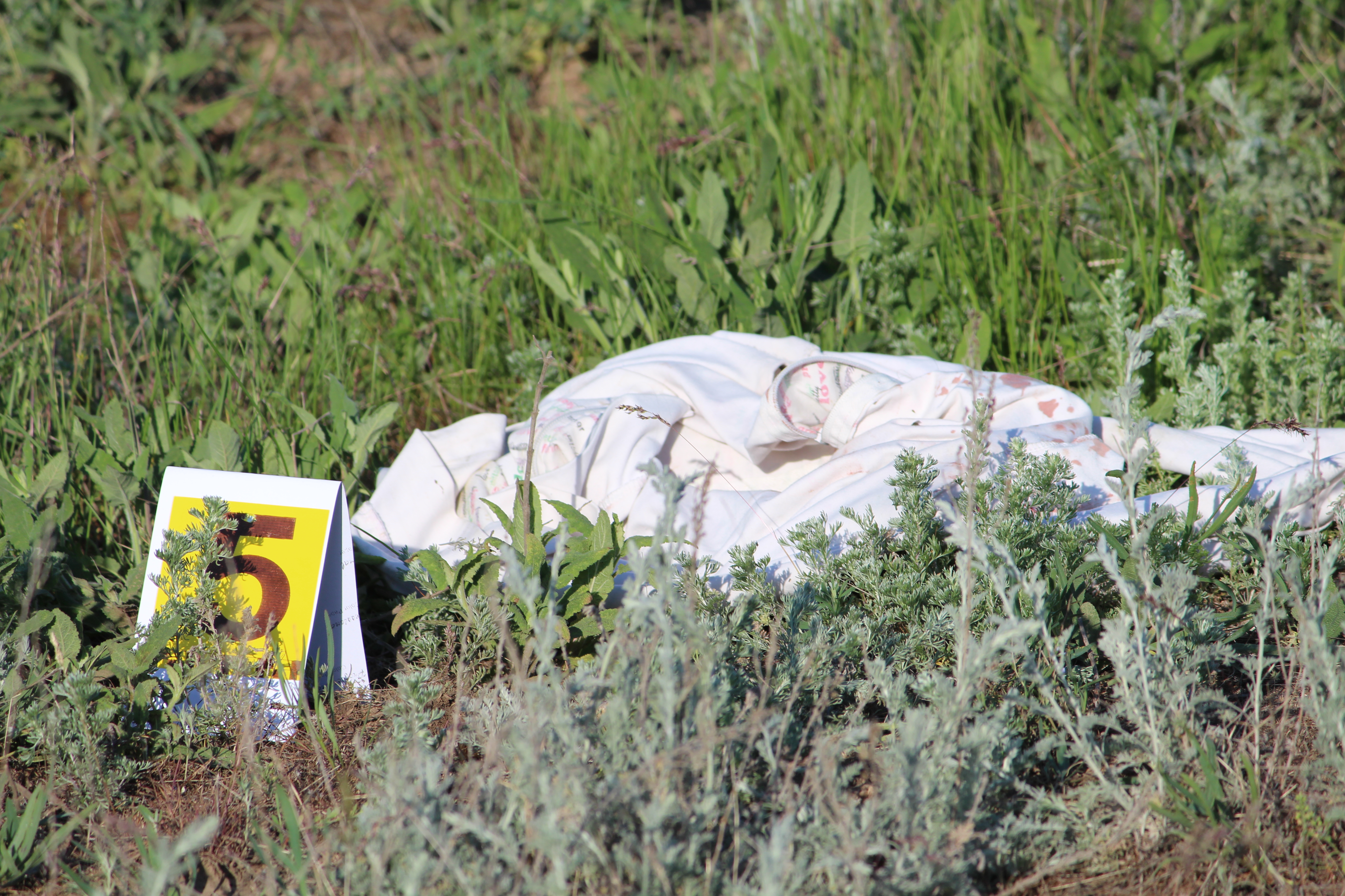 В Казахстане подростка не стали сажать за ДТП, в котором погиб человек