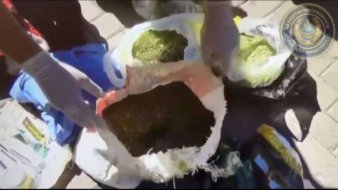 Задержан 75-летний казахстанец, который перевозил марихуану мешками