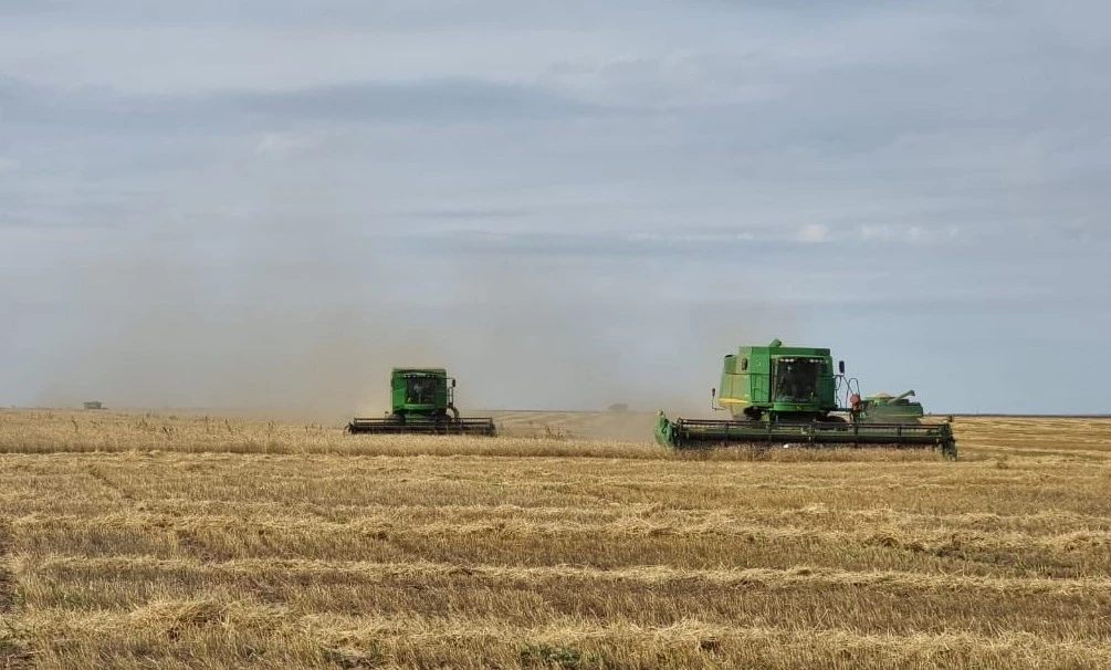 БҚО-да егін ору науқаны жалғасуда