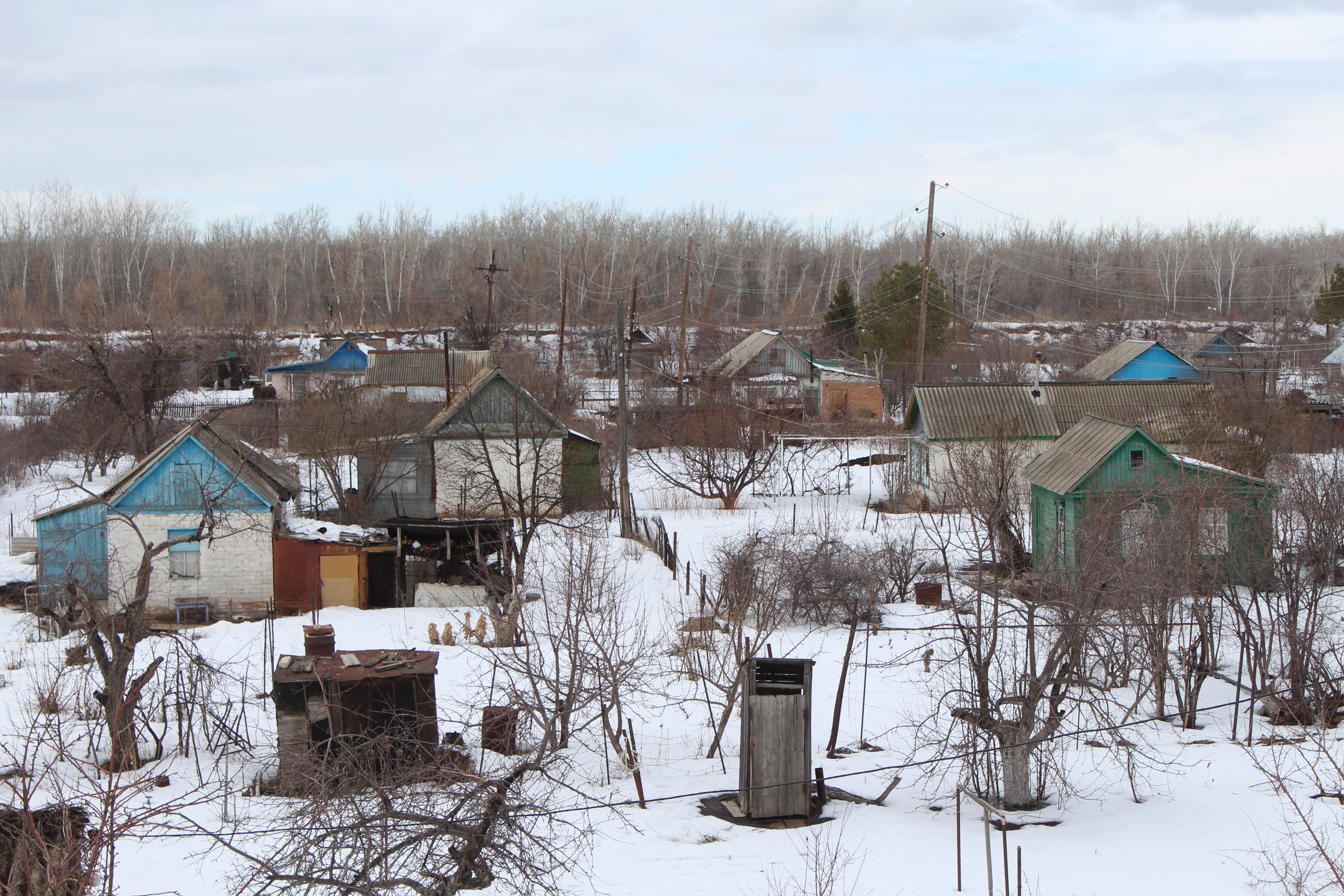 Сколько человек остались зимовать на дачах Уральска