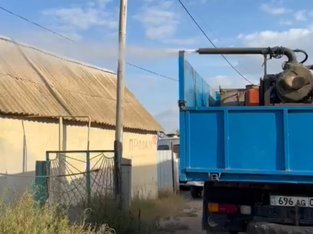 В Уральске три дачные улицы обработали от тарантулов