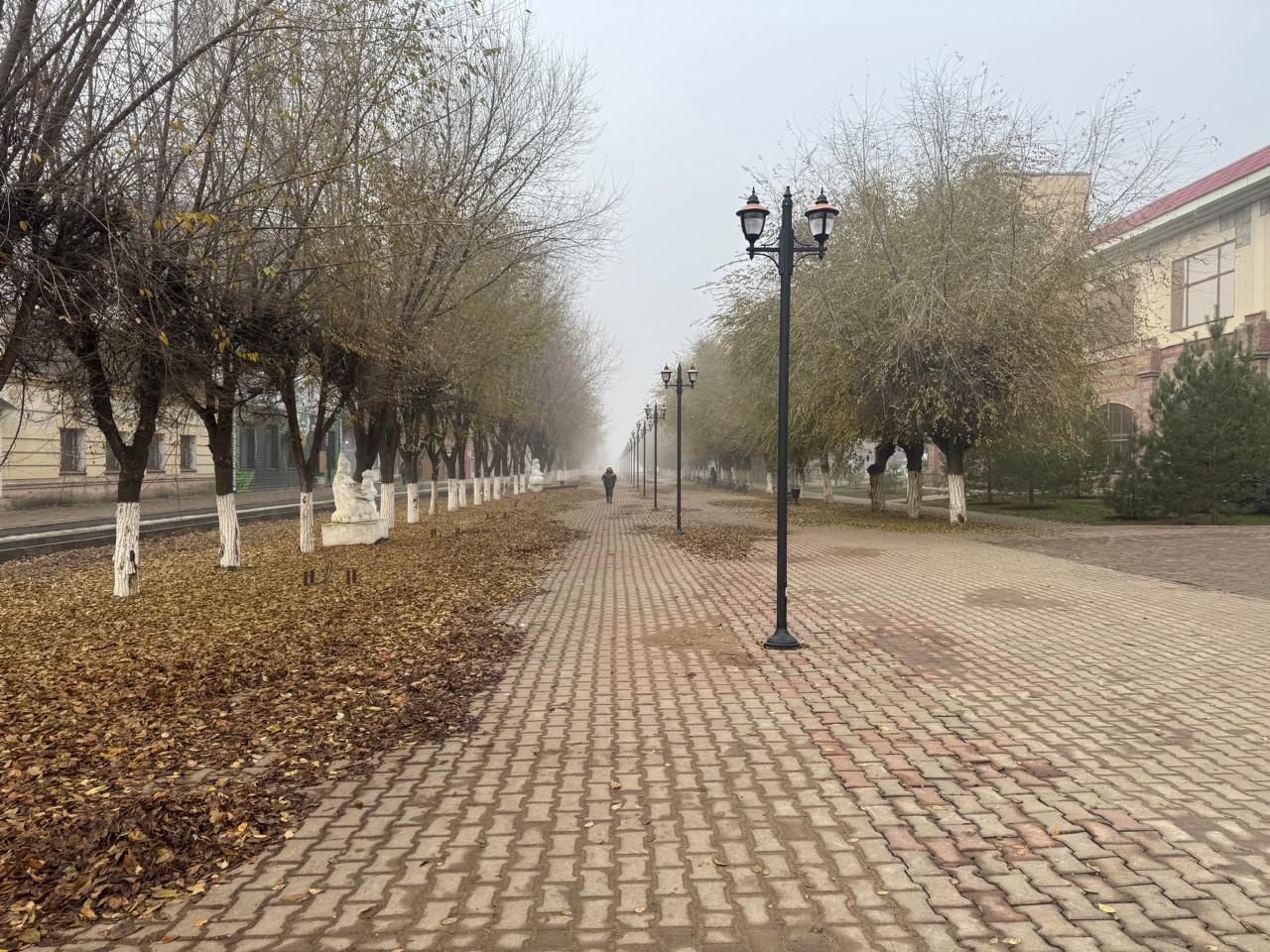 Погода в Уральске 25 ноября: без осадков и с умеренным ветром