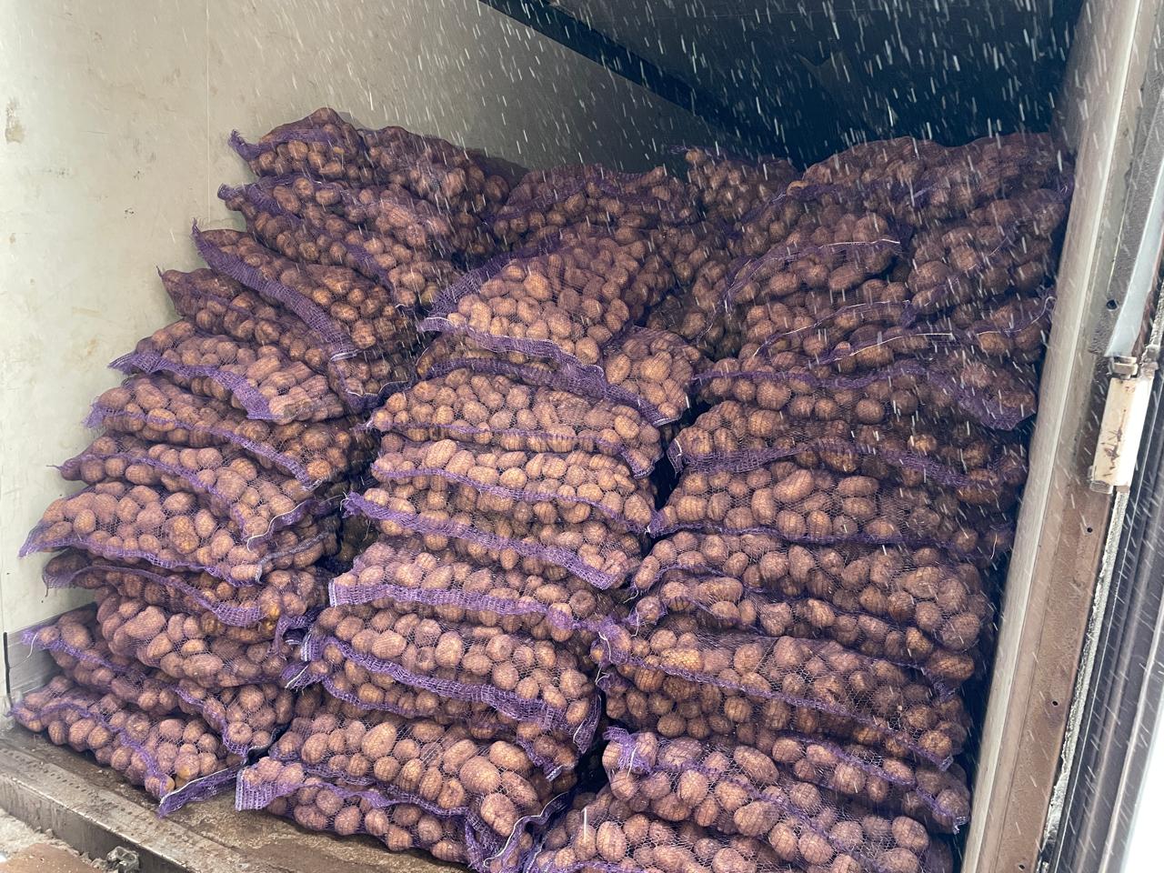 Картофель подешевел в Казахстане