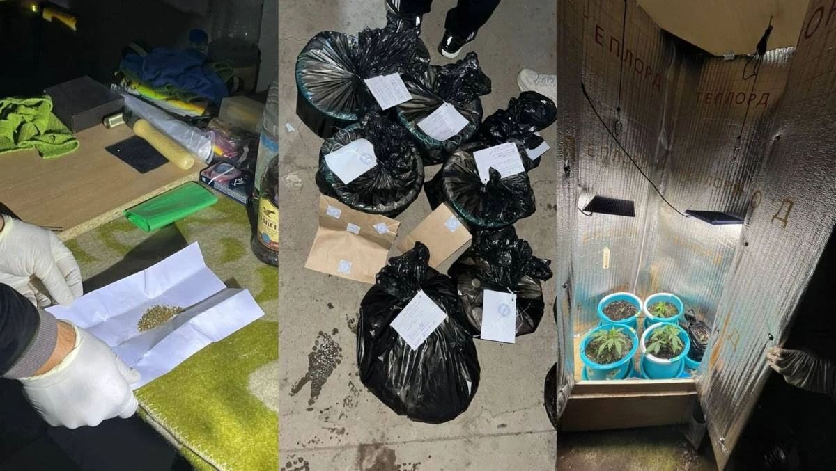 В Уральске мужчина устроил фитолабораторию в гараже