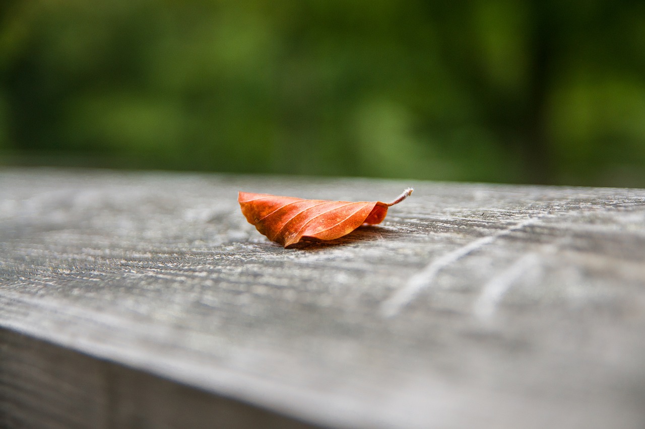 Прогноз погоды для жителей ЗКО на 9 сентября