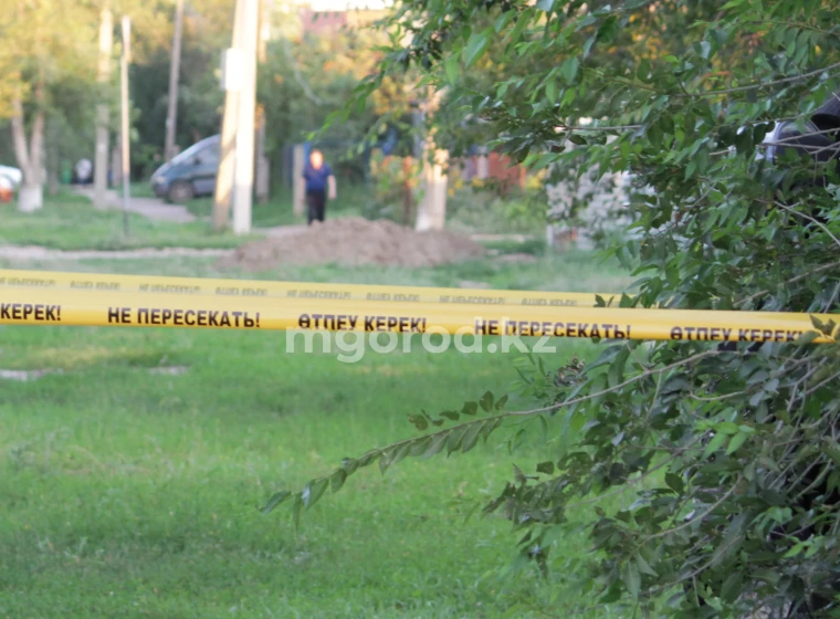 На 10-летнюю школьницу напали в Уральске: на акимат Зачаганска завели дело