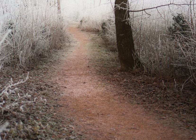 Еще два дня будут держаться холода в ЗКО