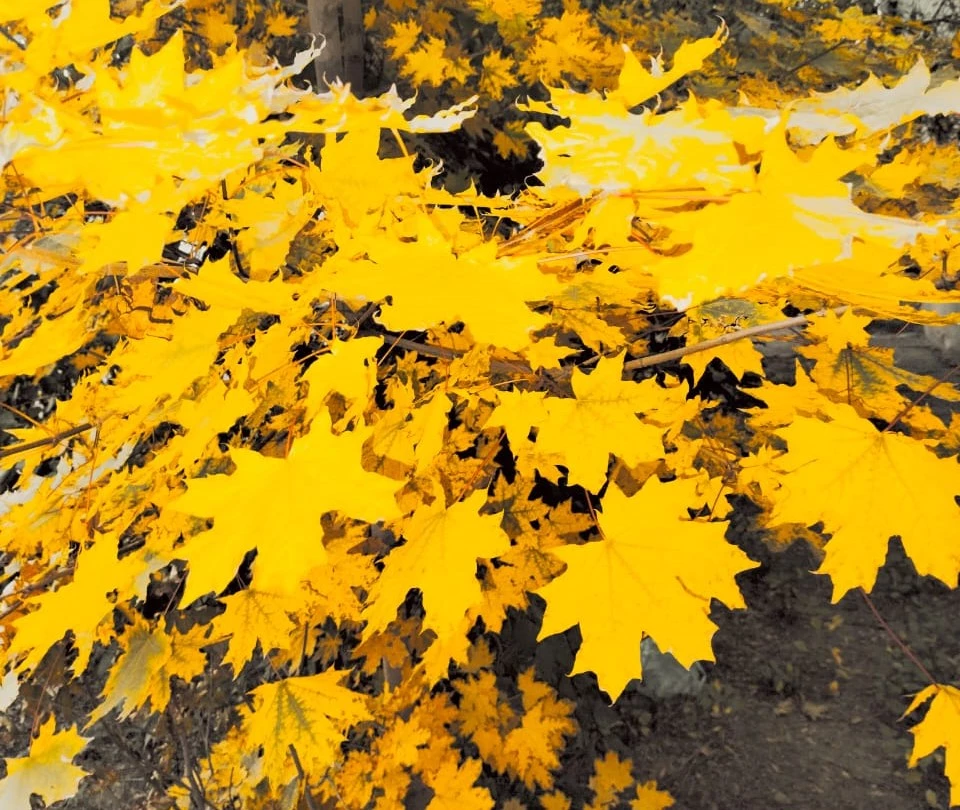 Какой будет погода на западе Казахстана 4 октября