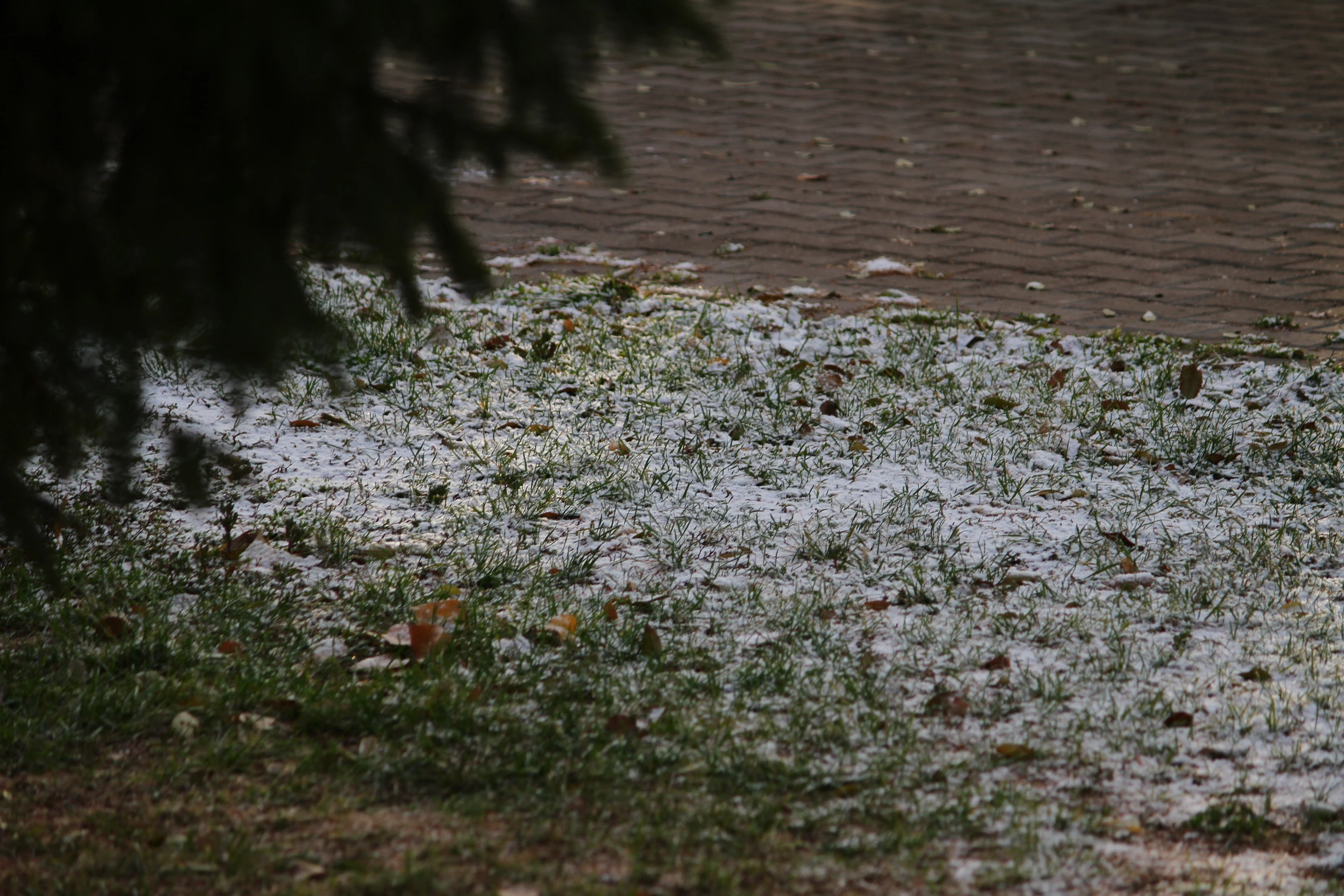 Низовая метель ожидается на западе Казахстана 9 ноября