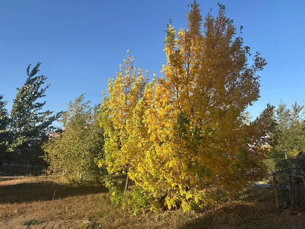 Какая погода ожидается жителей западного Казахстана 29 сентября