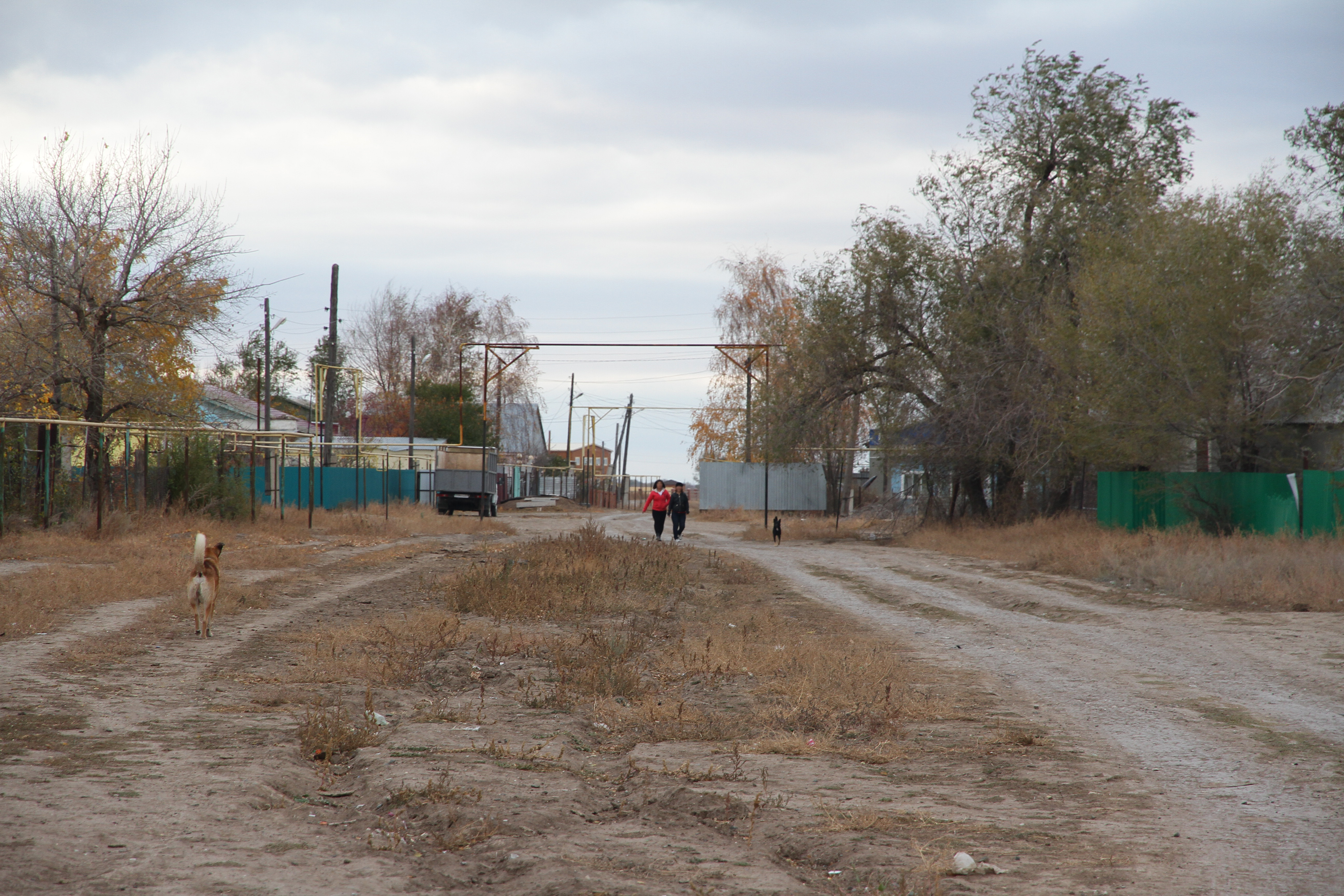 Жителей села близ месторождения Рожковское в ЗКО переселят