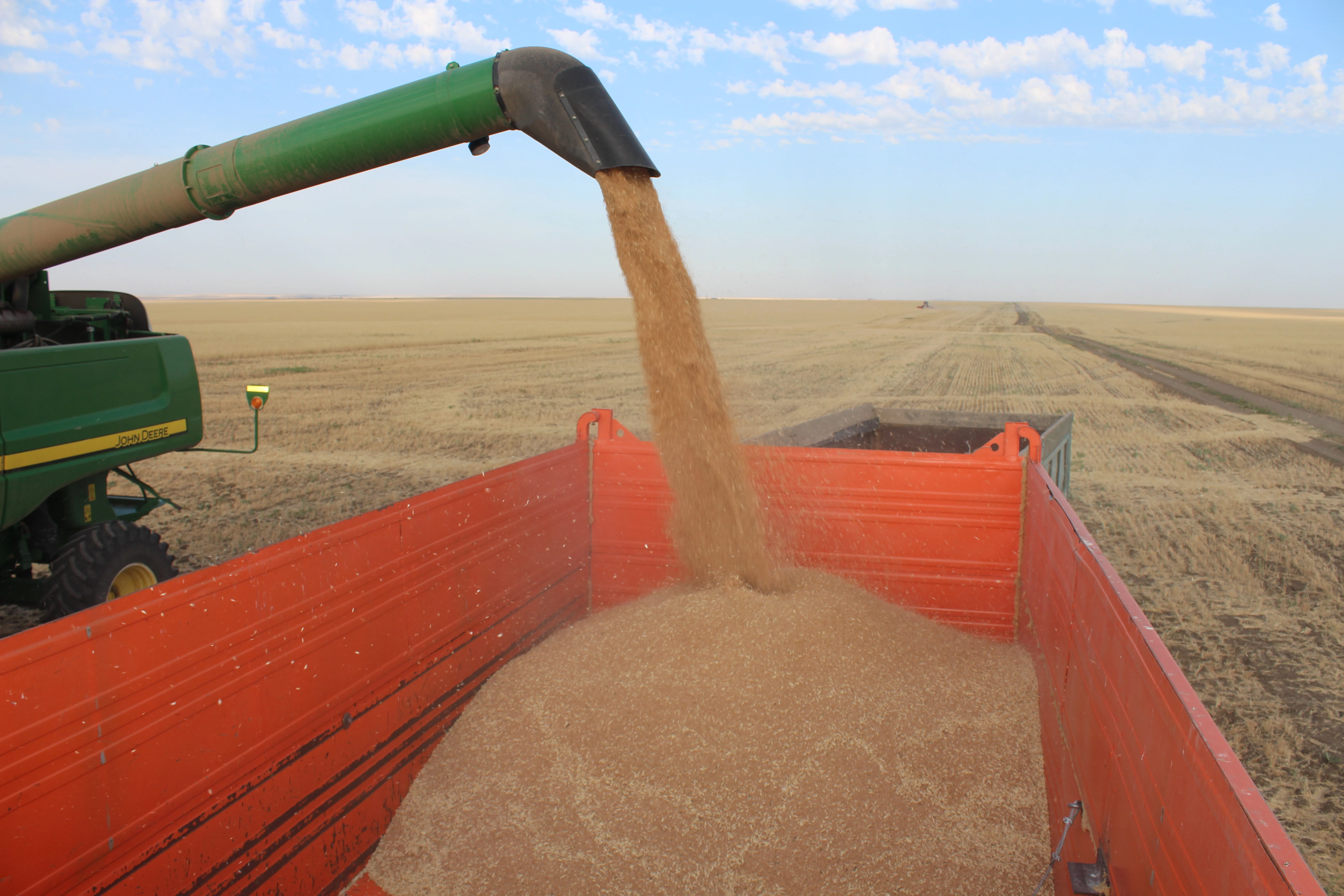 Россия возобновила экспорт пшеницы в Казахстан