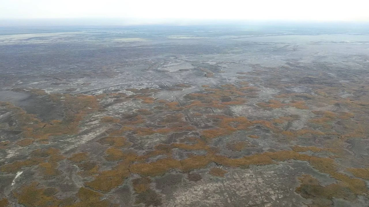 Пожар на территории резервата «Акжайык» ликвидировали в Атырауской области