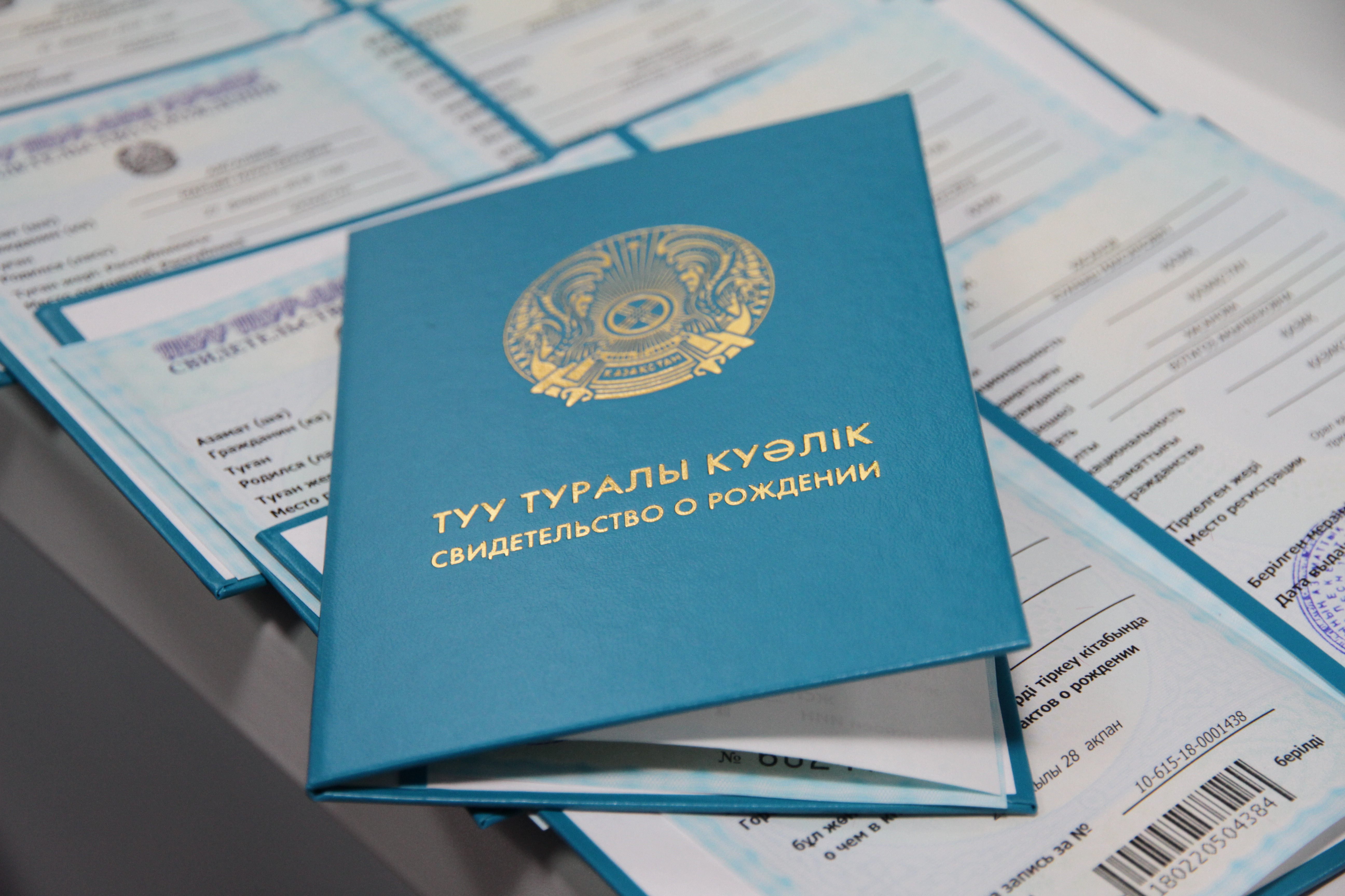 БҚО-да «Аңсаған сәби» бағдарламасымен 353 бала дүниеге келді