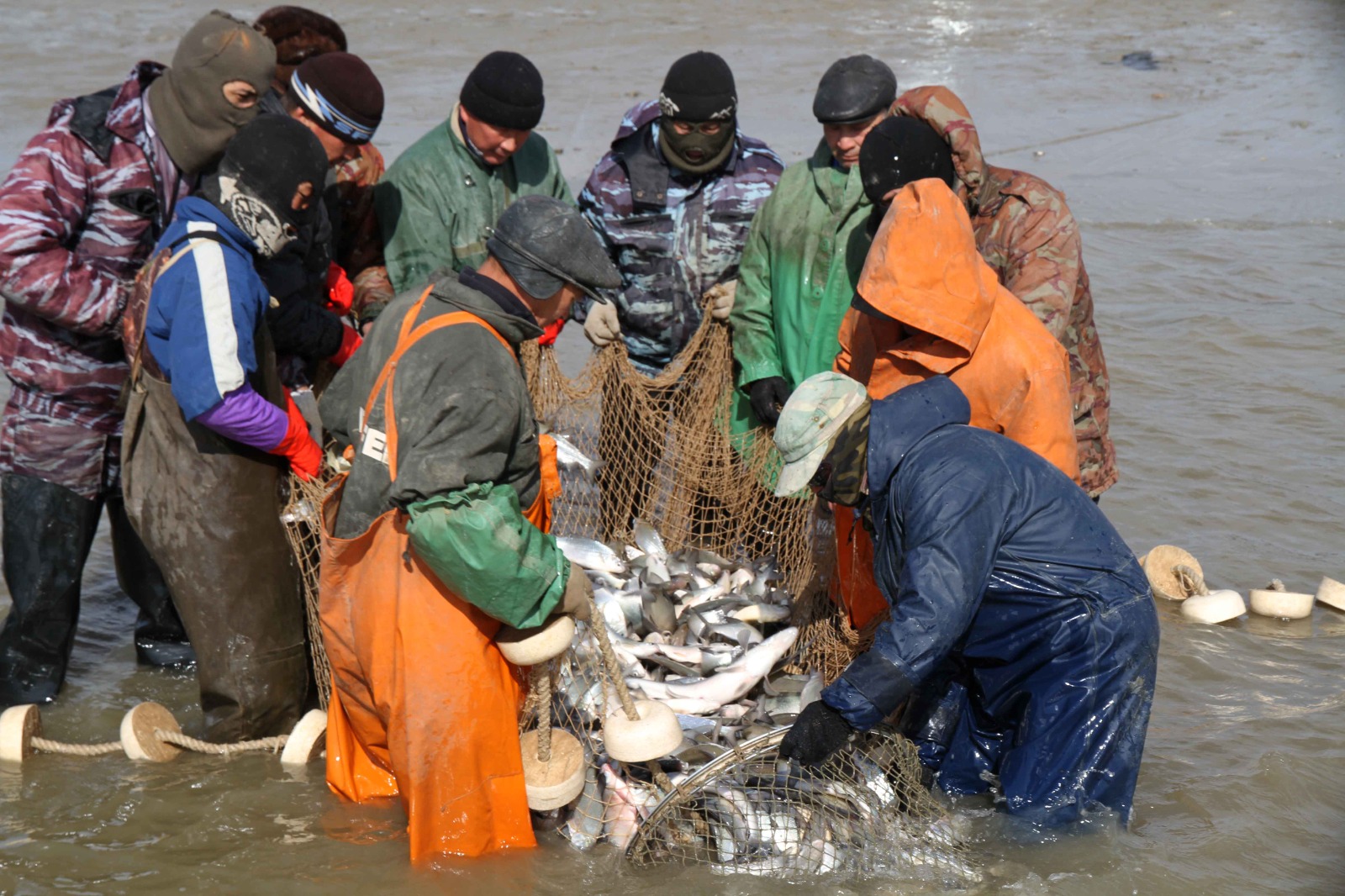 Куда экспортируют выловленную в Атырау рыбу