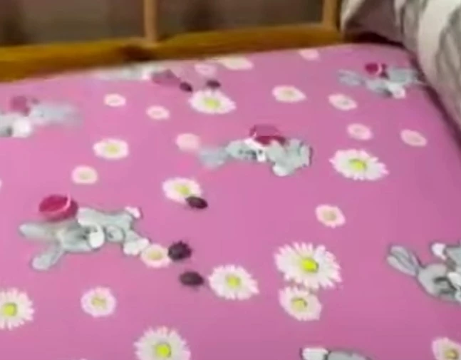 Насекомые в спальнях: 174 атырауских школьника отправили домой из российского пансионата