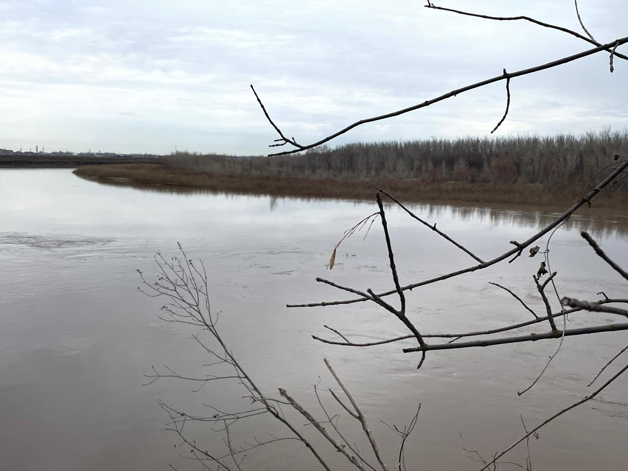 Уровень воды в Урале вырос на 4 см за прошедшие сутки