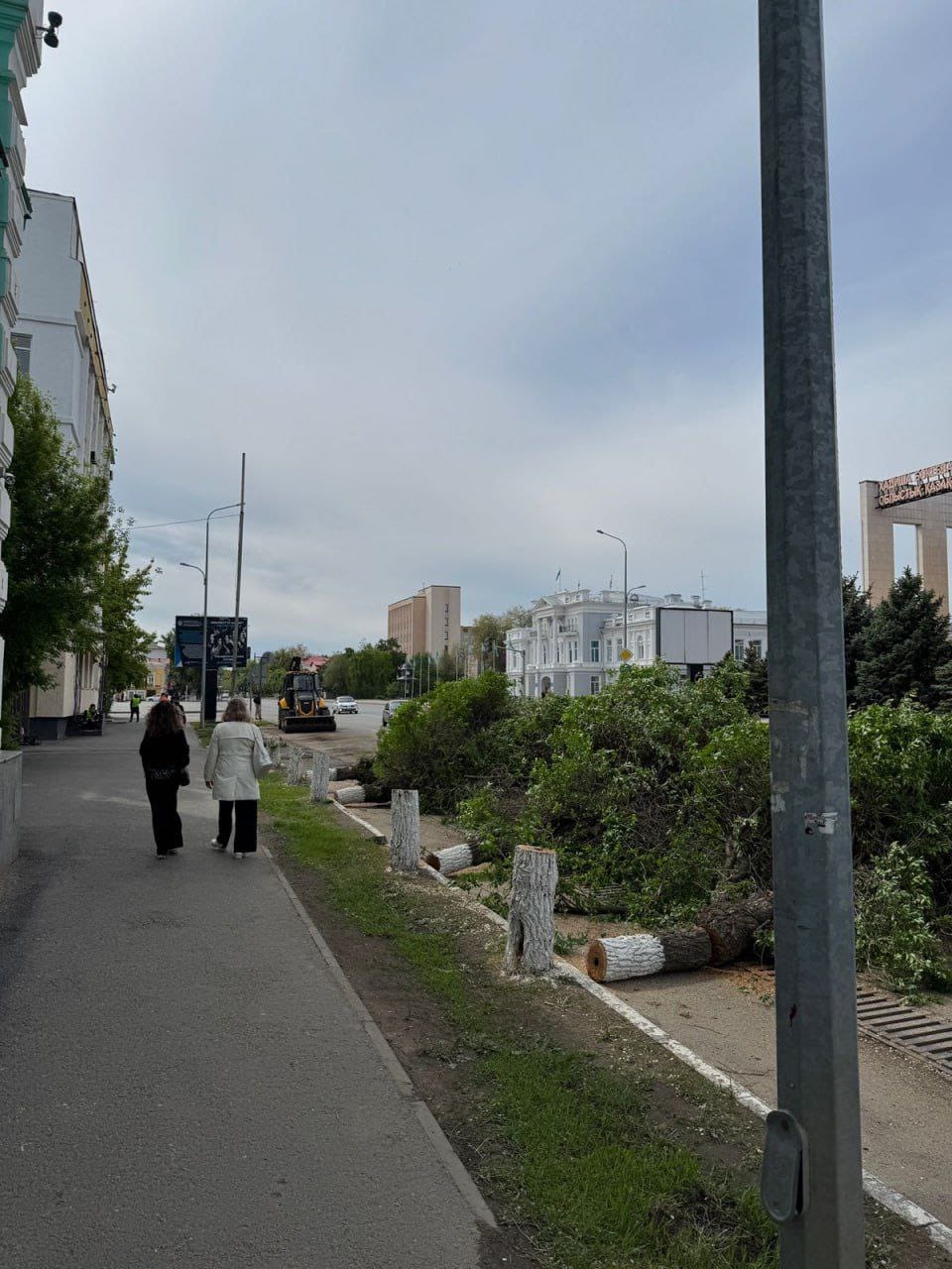 Вырубку деревьев в центре города прокомментировали в акимате Уральска