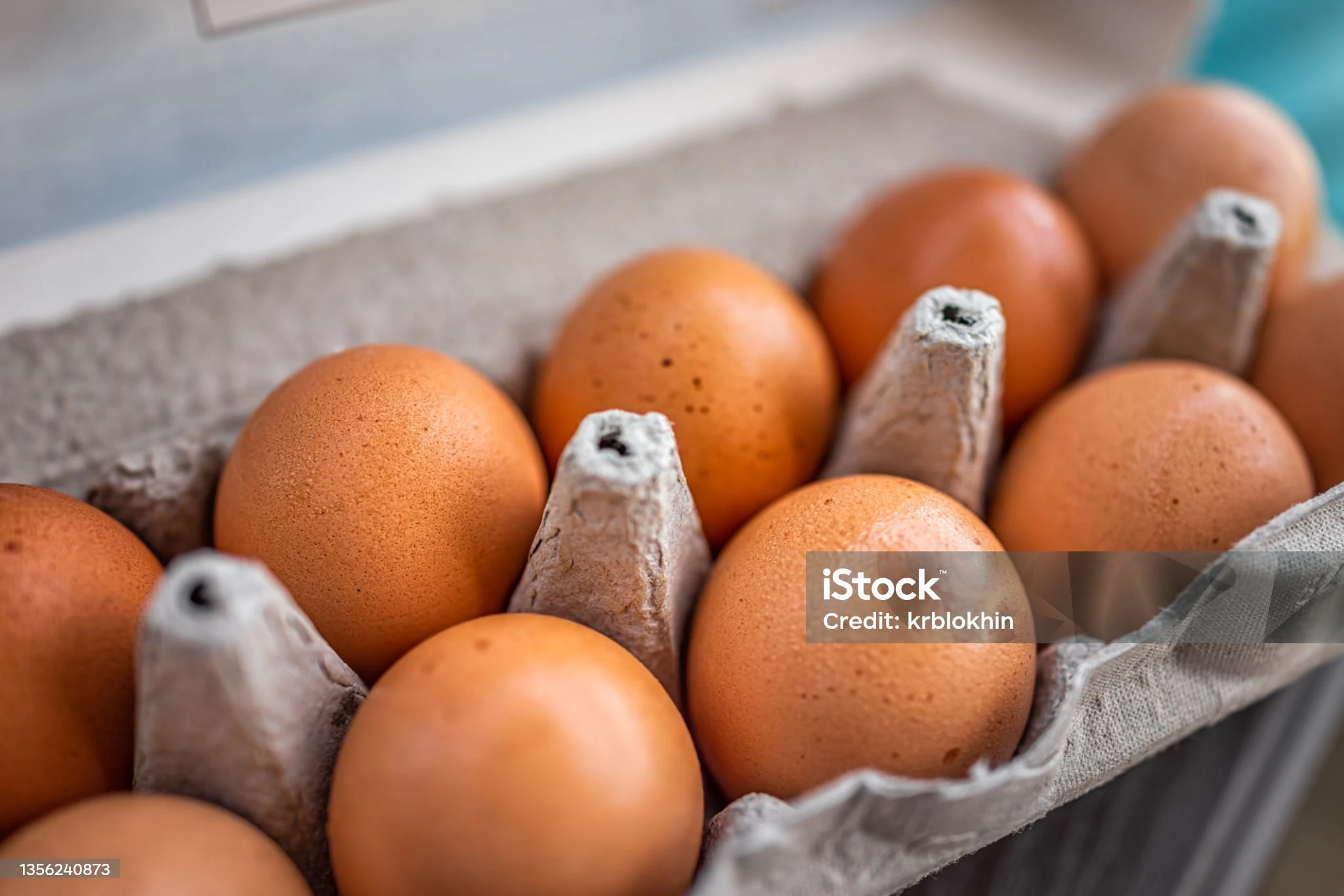 Запретить ввоз куриных яиц планируют в Казахстане