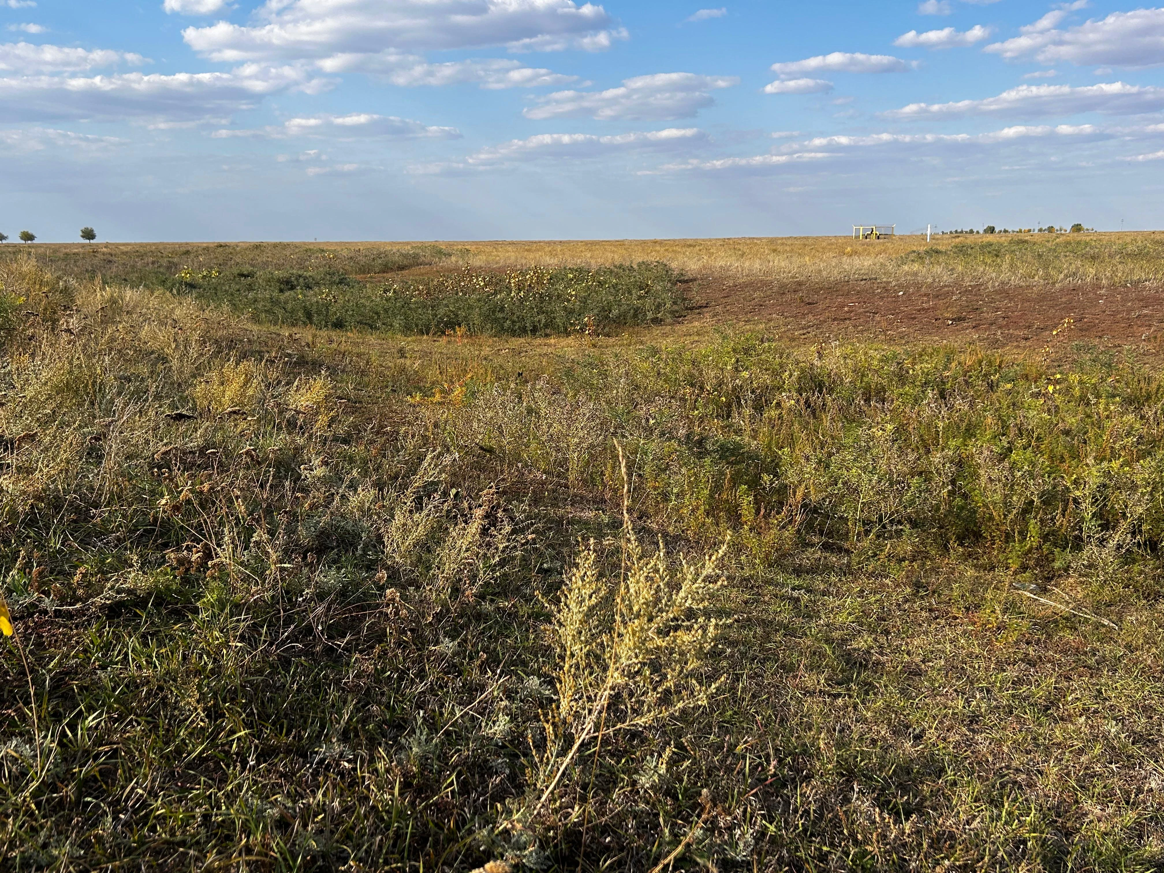 Бөрлі ауданында 10000 гектар жер учаскесі шаруаларға берілмек
