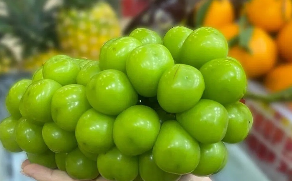 «Корейский» виноград из Tik Tok проверили на нитраты в Казахстане