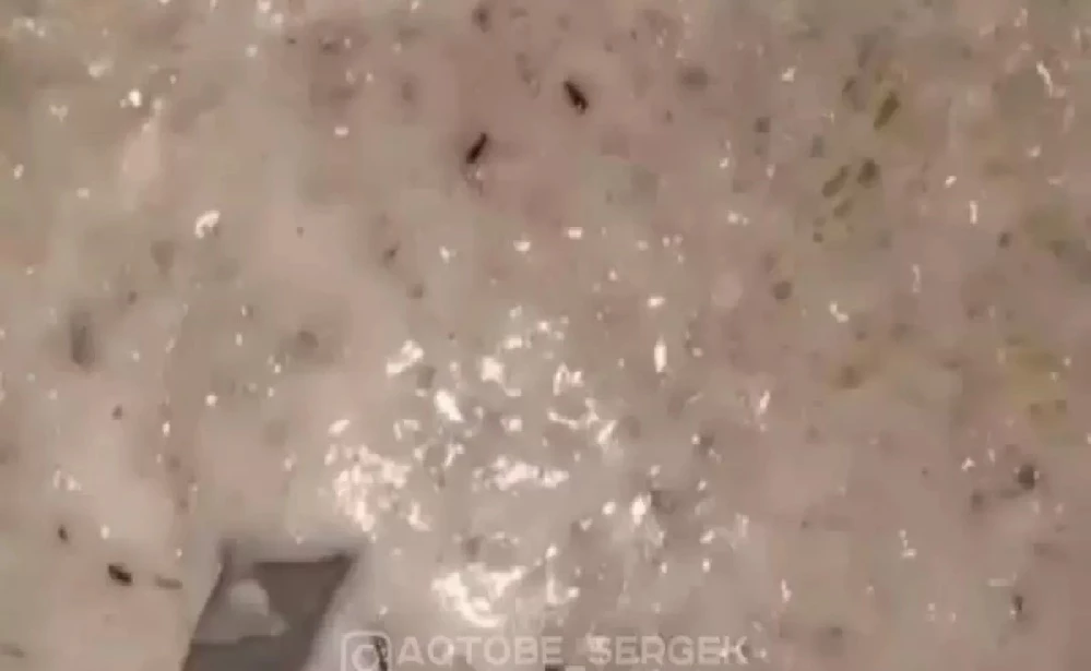 Каша с насекомыми в детском саду Актобе: уволены трое сотрудников