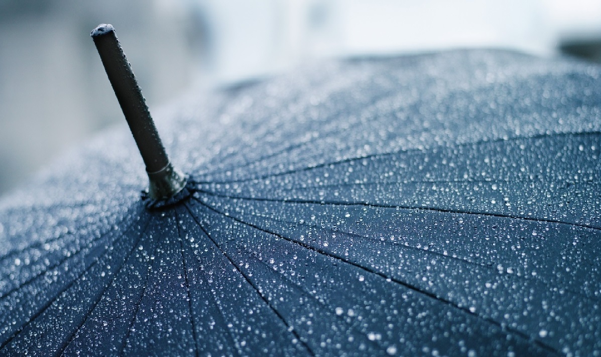 Дожди и туман ожидаются на западе Казахстана 16 октября