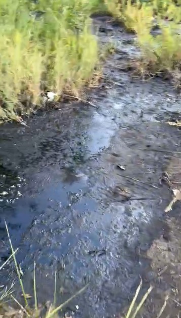 Свалку нефтеотходов нашли на берегу реки Урал в ЗКО